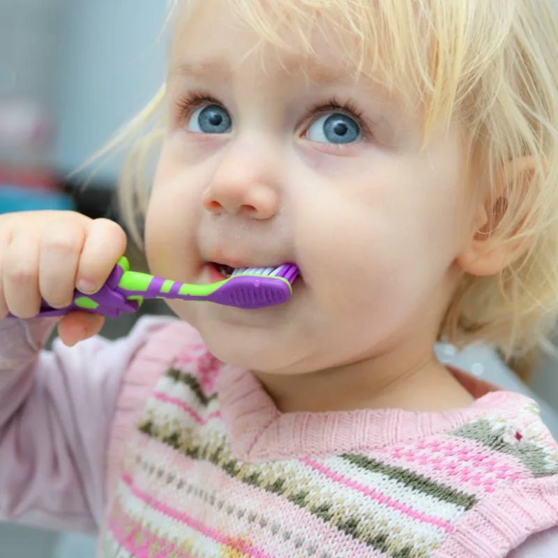 Proper tooth brushing technique demonstration